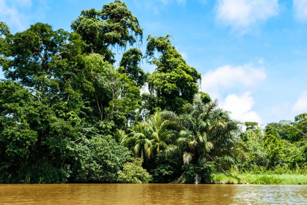 Circuit Naturellement Costa Rica & Jungle de Tortuguero pas cher photo 36