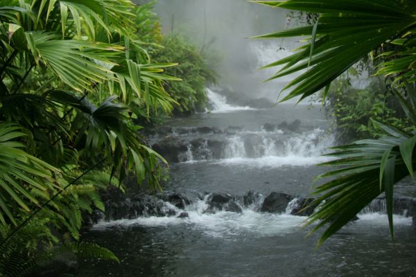 Circuit Naturellement Costa Rica & Parc de Manuel Antonio pas cher photo 14