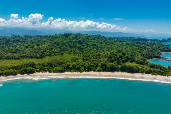 Circuit Naturellement Costa Rica & Parc de Manuel Antonio pas cher photo 31