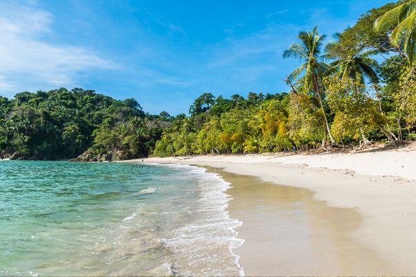 Circuit Naturellement Costa Rica & Parc de Manuel Antonio pas cher photo 35