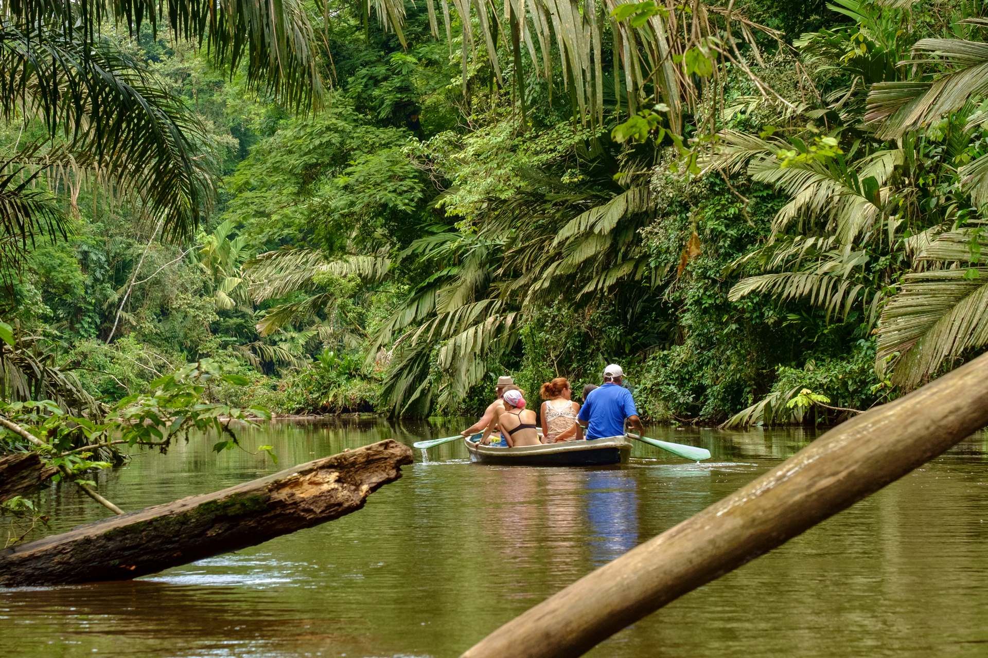 Trésors du Costa Rica - Prétour Tortuguero - 15J/13N - Limité à 18 pers. pas cher photo 13