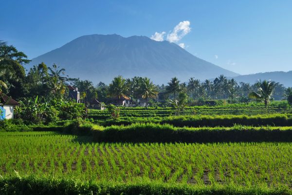 Circuit Lotus de Bali et Plage 3*-4* pas cher photo 22