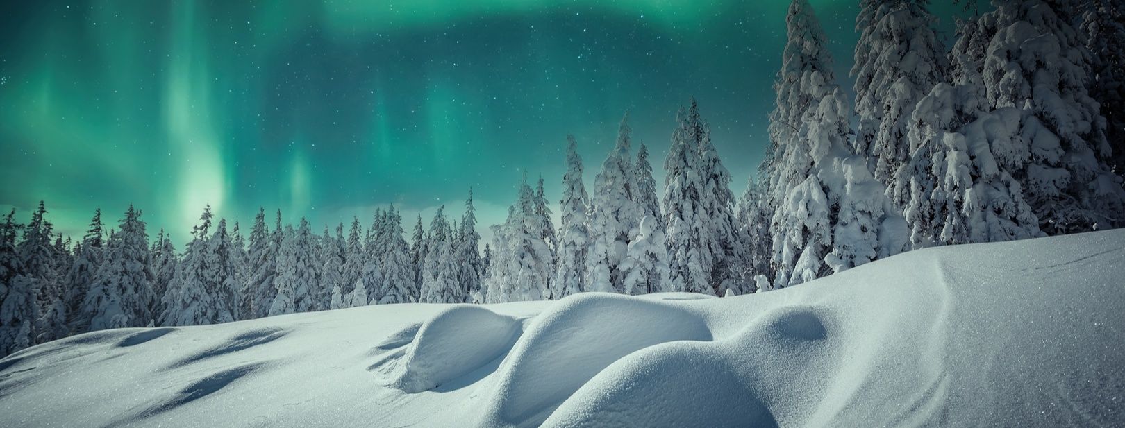 Séjours Activités à la carte Hôtel à Suomu pas cher photo 5