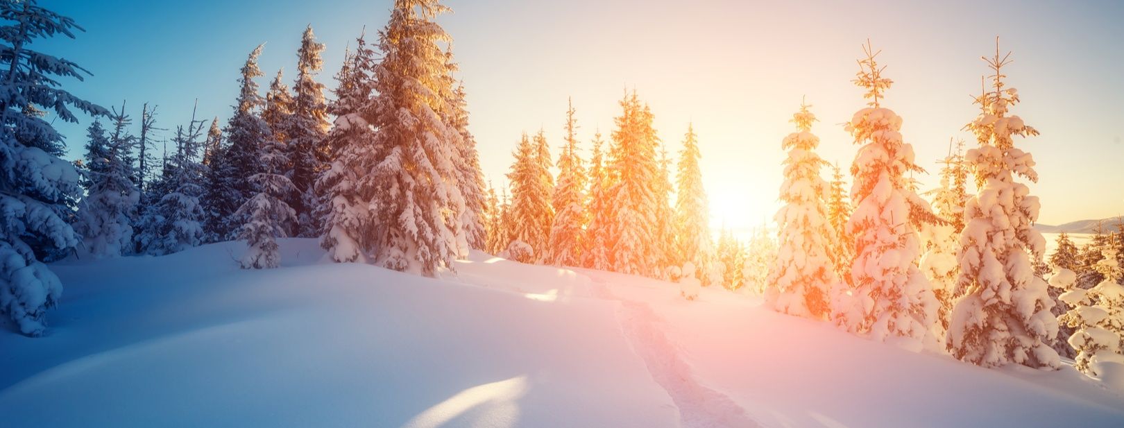 Séjours Activités à la carte Hôtel à Suomu pas cher photo 6