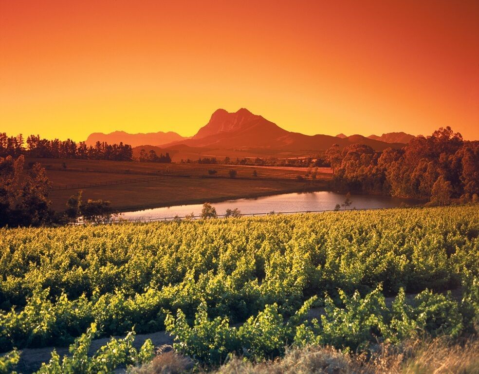 I Love Afrique du Sud & Chutes Victoria - 16J/13N - Du 04/04 au 24/10/26 3* OFFRE SPÉCIALE 3* pas cher photo 9
