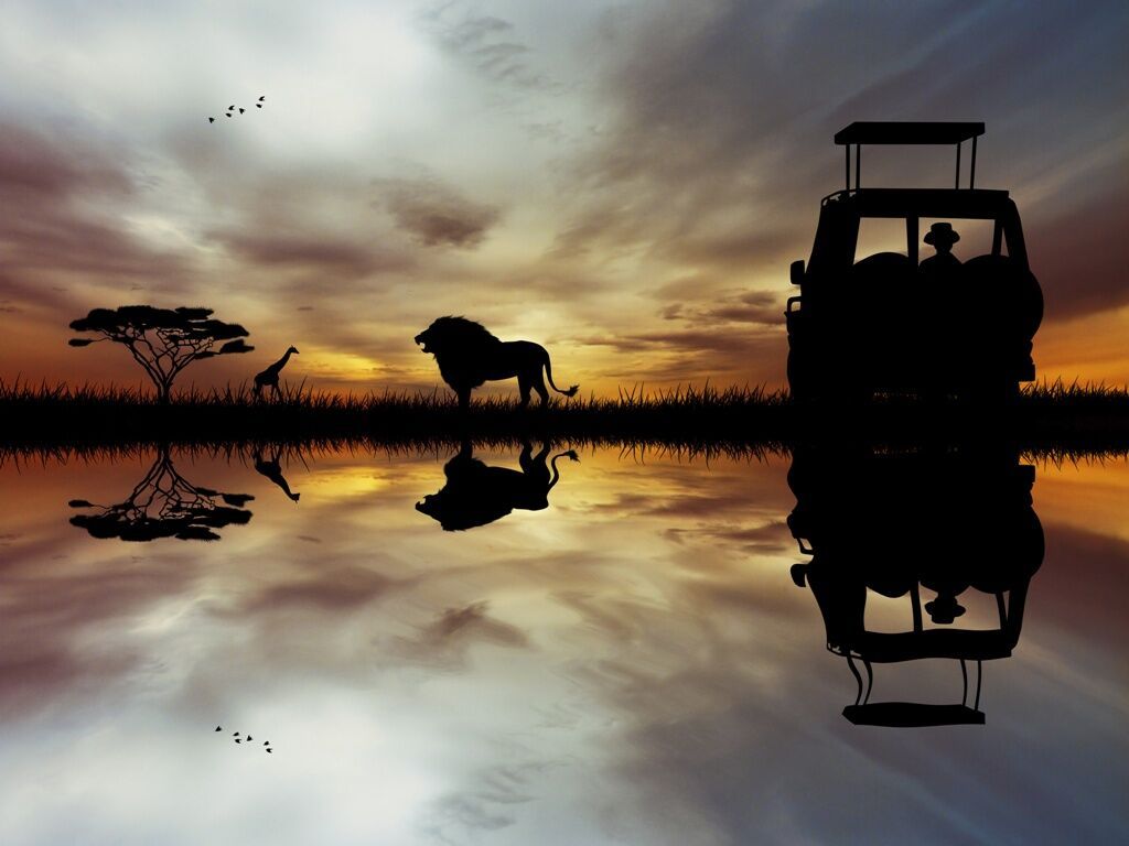 I Love Afrique du Sud, Chutes Victoria & Parc Chobe - 17J/14N - Dès le 04/04/26 pas cher photo 8