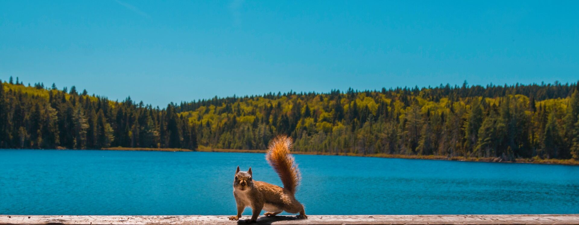 Beautés de l'Est Canadien - 12J/10N - 2026/27 pas cher photo 2