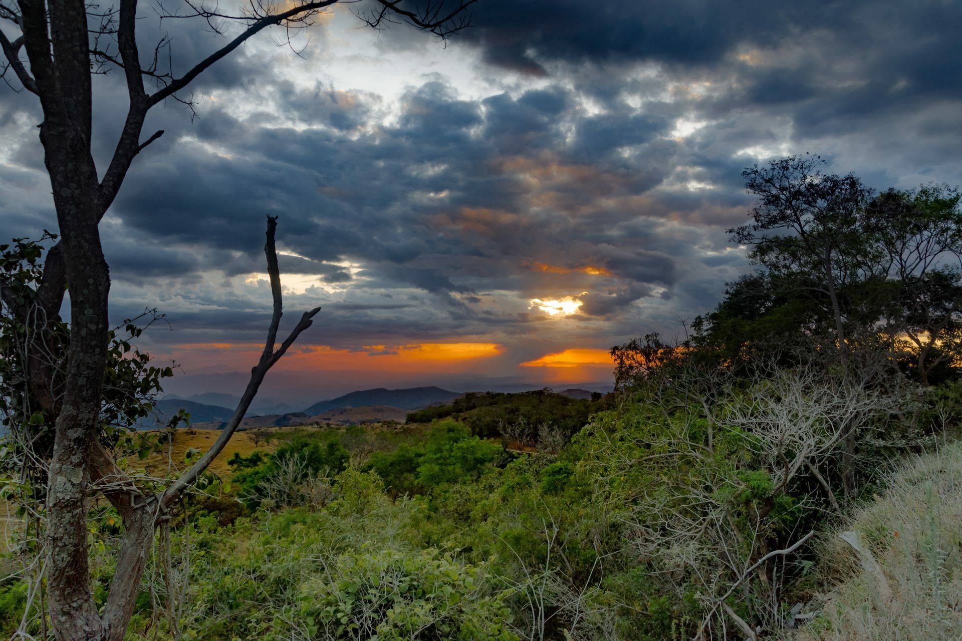 Sur la route du Costa Rica : Monteverde et Rincon de la Vieja - 12J/10N pas cher photo 4