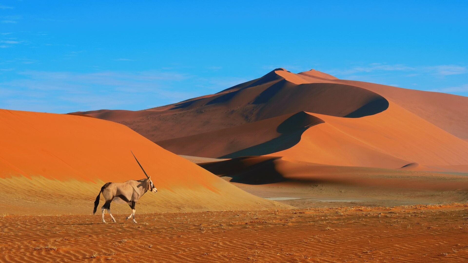 Couleurs de Namibie 14J/11N - Limité à 8 pers. par véhicule - 2026 pas cher photo 2