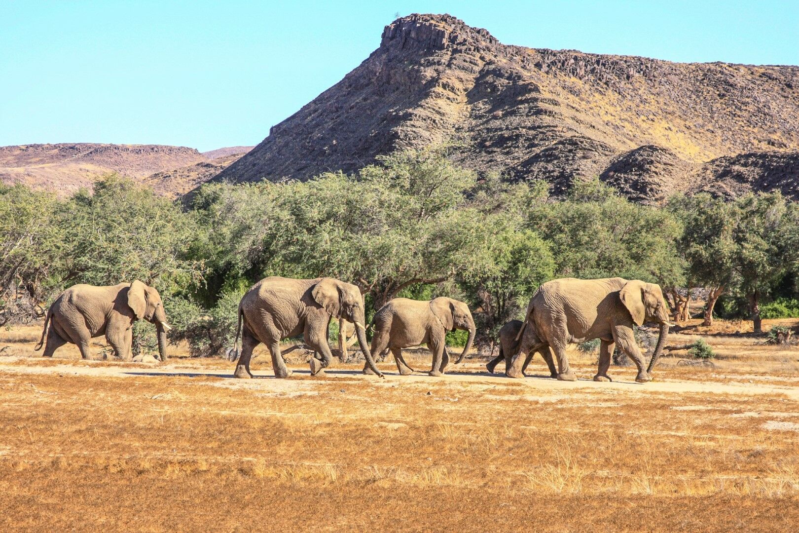 Couleurs de Namibie 14J/11N - Limité à 8 pers. par véhicule - 2026 pas cher photo 6