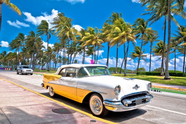 Circuit Sites mythiques de Floride et extension Miami pas cher photo 5