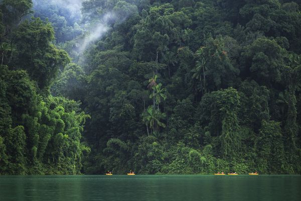 Circuit Du Parc National de Khao Sok aux Sables de Khao Lak pas cher photo 10