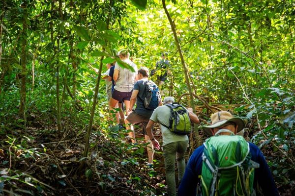 Circuit Du Parc National de Khao Sok aux Sables de Khao Lak pas cher photo 31