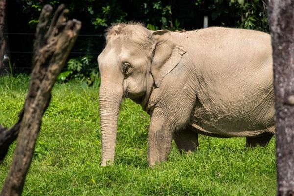 Circuit Du Parc National de Khao Sok aux Sables de Khao Lak pas cher photo 34