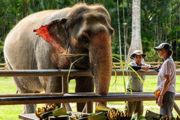 Circuit Du Parc National de Khao Sok aux Sables de Khao Lak pas cher photo 36