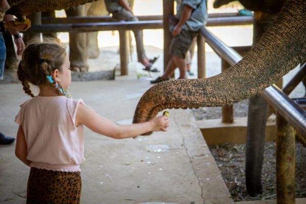 Circuit Du Parc National de Khao Sok aux Sables de Khao Lak pas cher photo 37