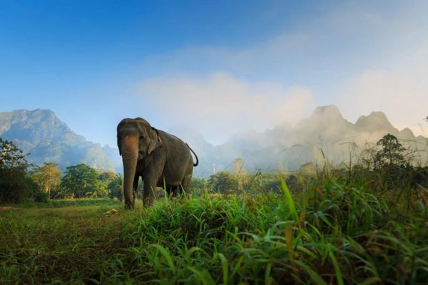 Circuit Du Parc National de Khao Sok aux Sables de Khao Lak pas cher photo 38