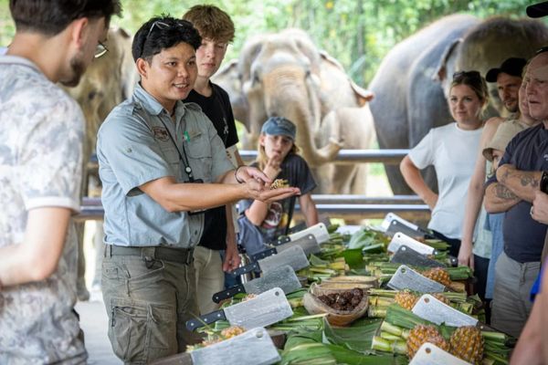 Circuit Du Parc National de Khao Sok aux Sables de Khao Lak pas cher photo 39
