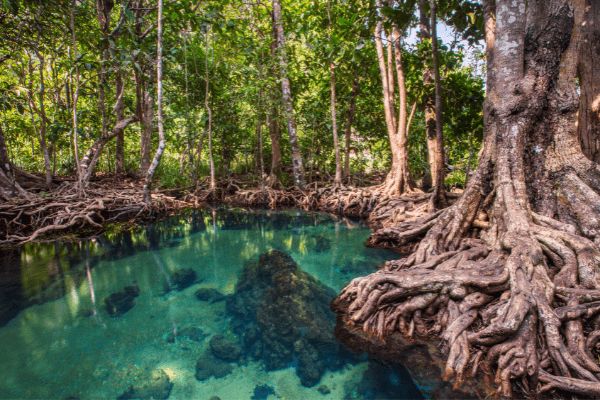 Circuit Jasmin de Thaïlande en Privatif et Plage de Krabi 5* pas cher photo 33