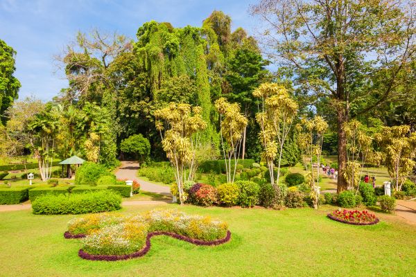 Circuit Des Merveilles du Sri Lanka 3* à la plage de Beruwela 3*Sup en Privatif pas cher photo 6