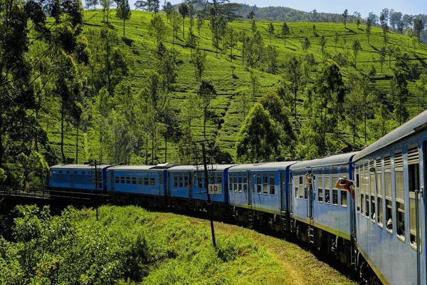 Circuit Des Merveilles du Sri Lanka 3* à la plage de Beruwela 3*Sup en Privatif pas cher photo 7