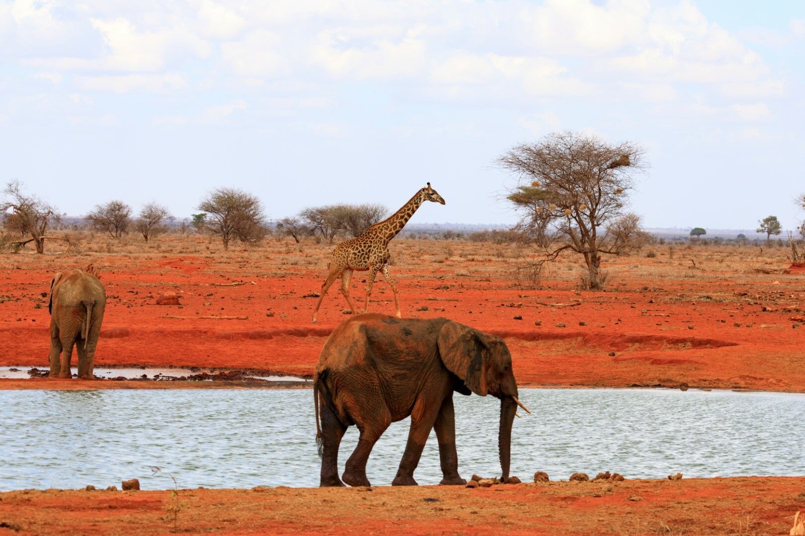 Détente à Mombasa & Safaris à Tsavo 10J/7N pas cher photo 6