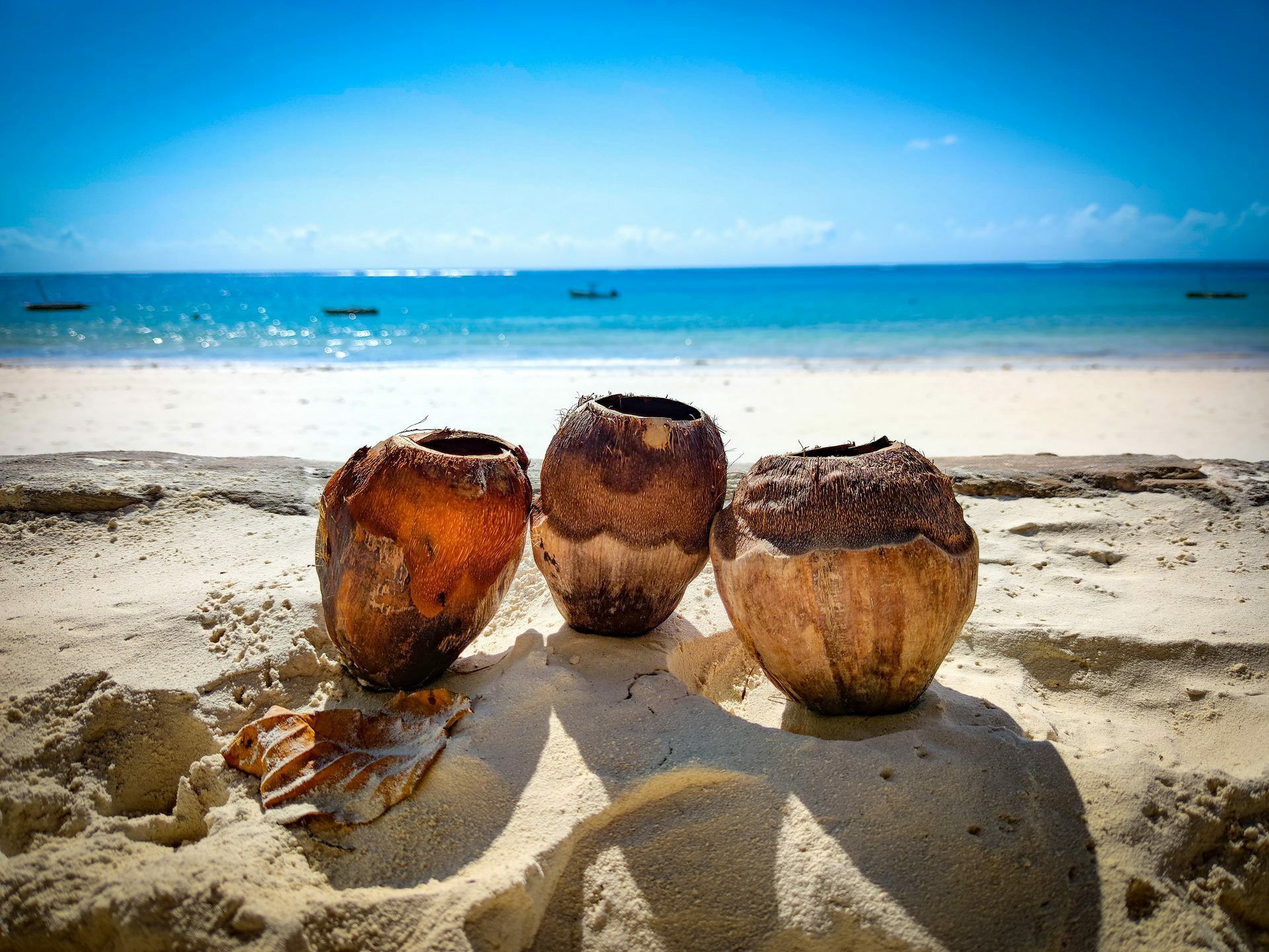 Entre nous : Trains, Savanes & Plages Kenyanes 9J/7N pas cher photo 1