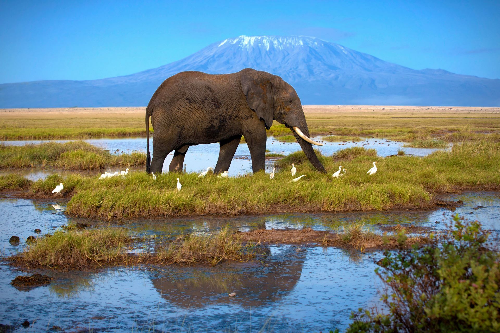 Entre nous : Trains, Savanes & Plages Kenyanes 9J/7N pas cher photo 2