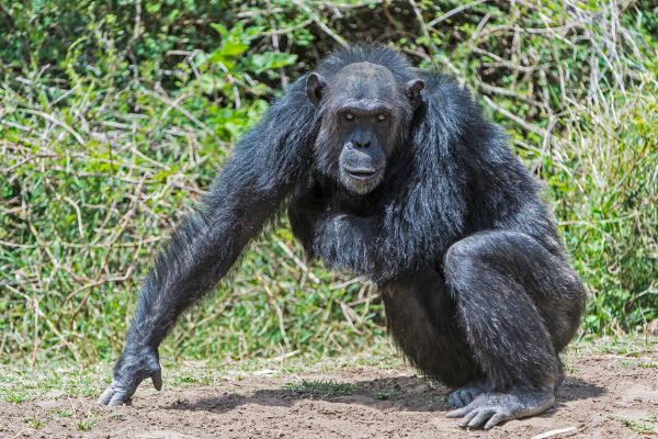 Circuit Safaris de Légende pas cher photo 19