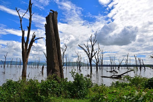 Circuit Safaris de Légende pas cher photo 23