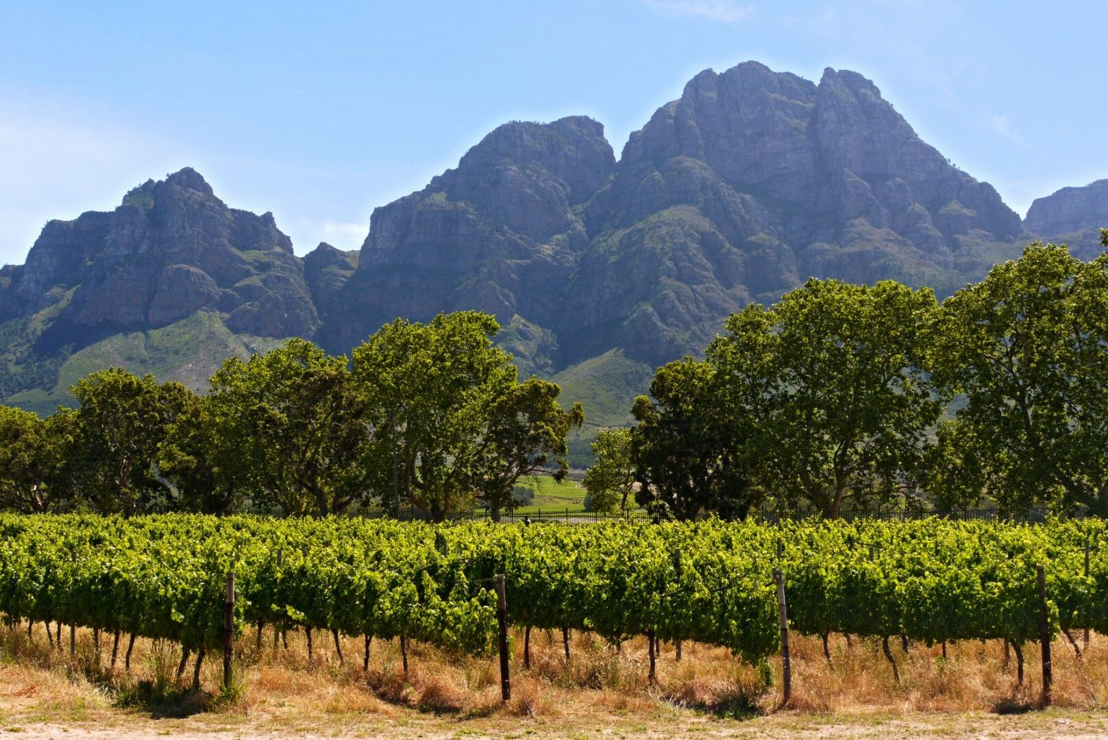 Au coeur de l'Afrique du Sud 10J/7N pas cher photo 4