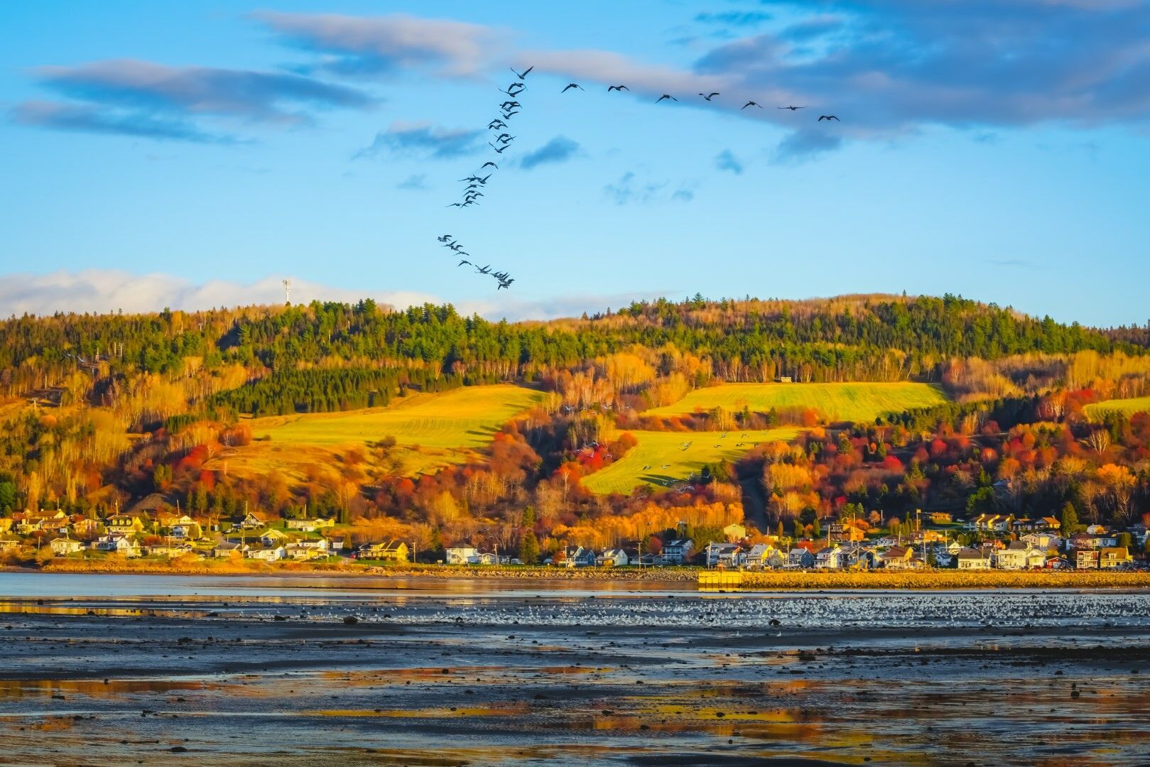 Cap sur la Belle Province - 8J/6N - 2026/27 pas cher photo 7