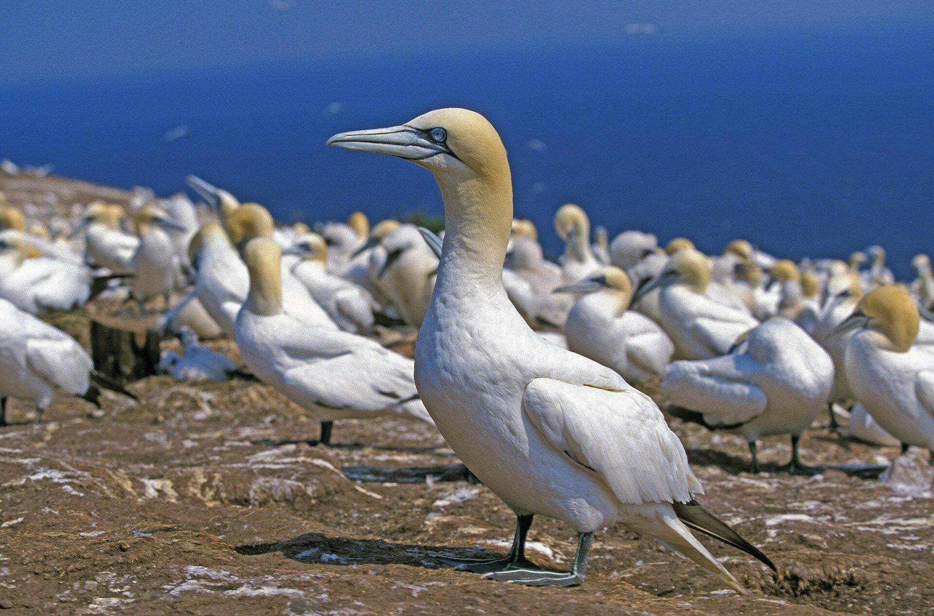 Magie du Canada + Ext. Montréal - 16J/14N - 2026 pas cher photo 11