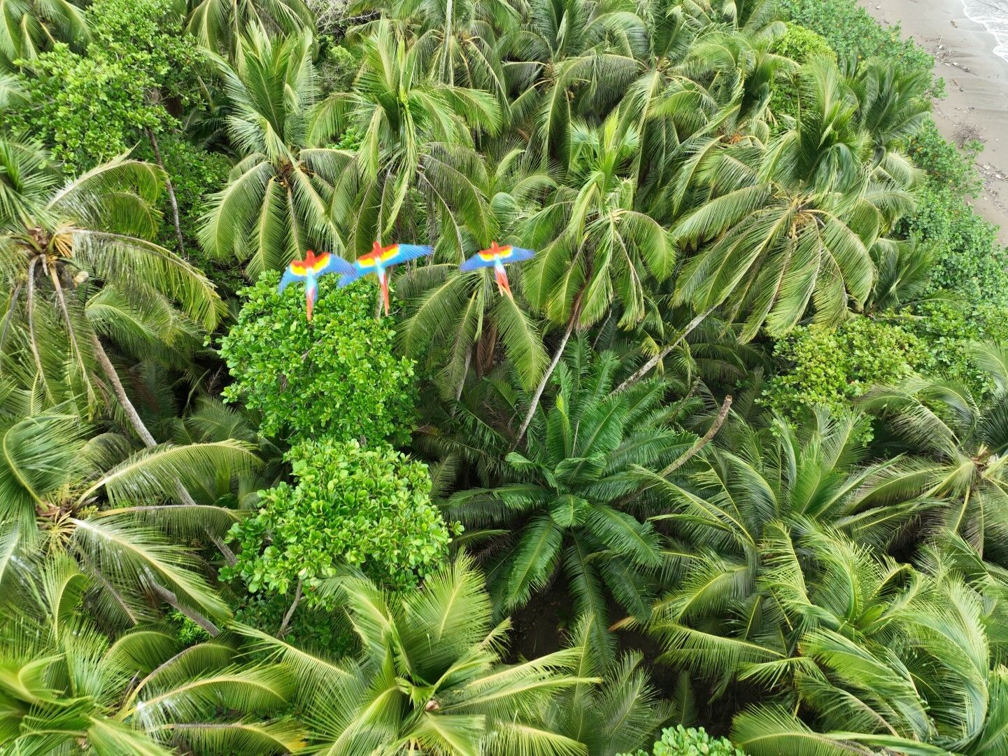 Découverte du Costa Rica et du Panama- 13J/11N - Limité à 18 pers. pas cher photo 3