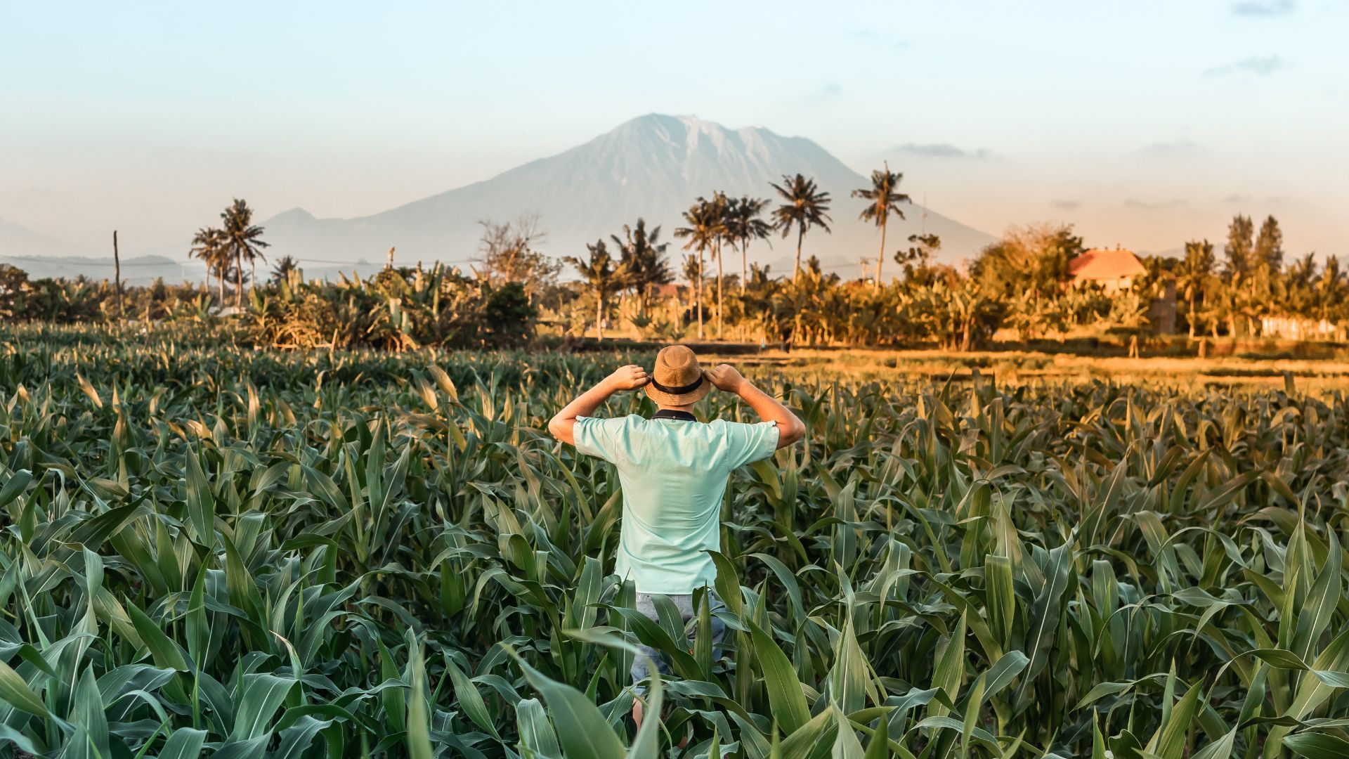 Bali en roue libre - 13J/10N - ext. 2 nuits à Sanur - avec chauffeur pas cher photo 2