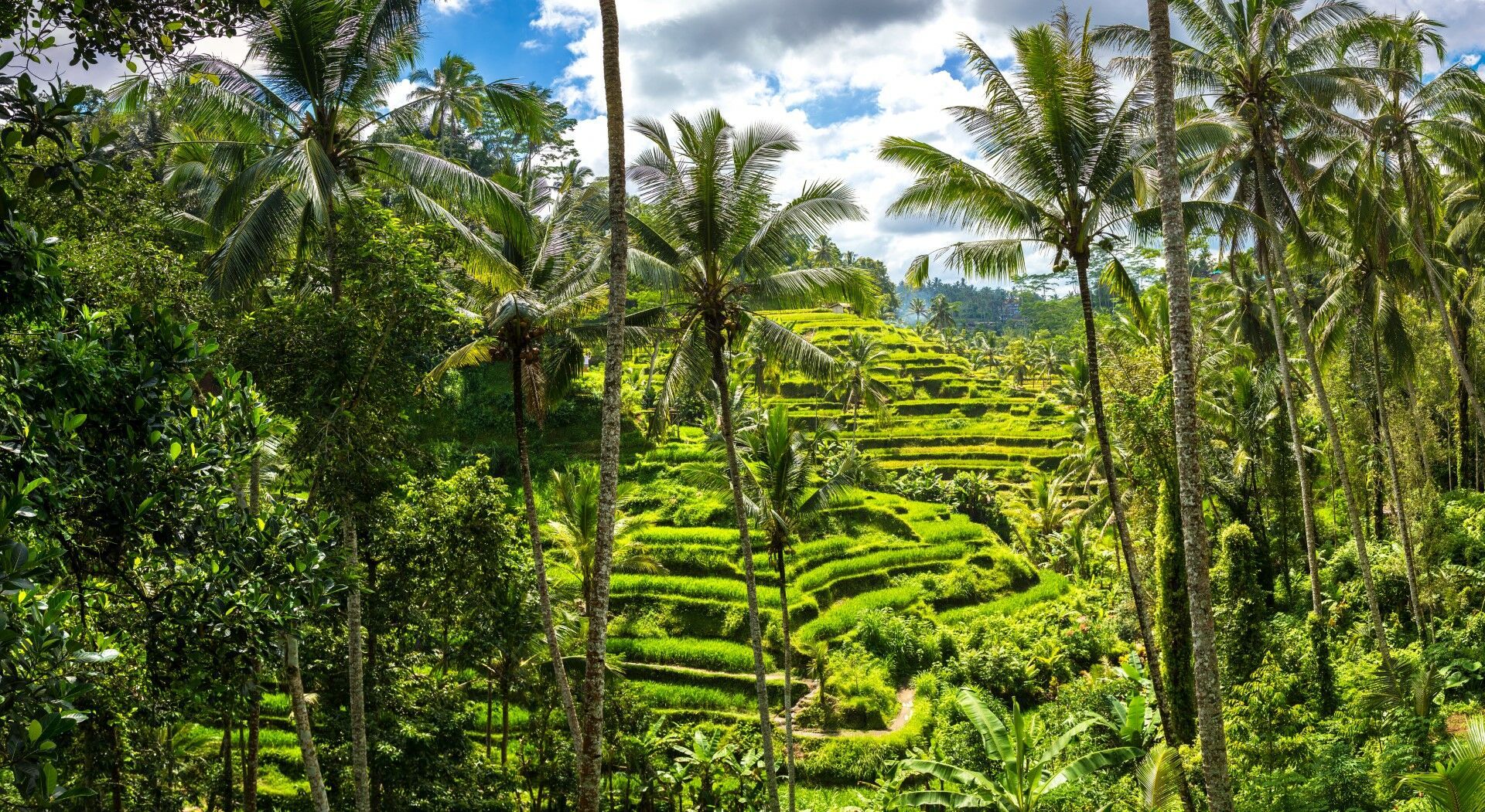 Bali en roue libre - 13J/10N - ext. 2 nuits à Sanur - avec chauffeur pas cher photo 6
