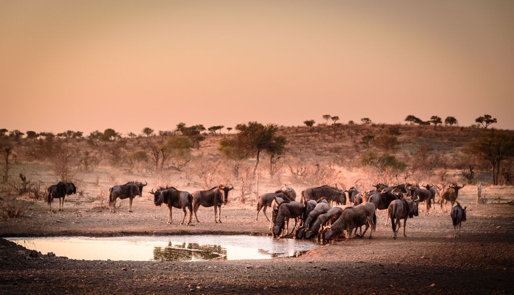 Escapade en Terre Sauvage 2025-2026 -10J/7N pas cher photo 6