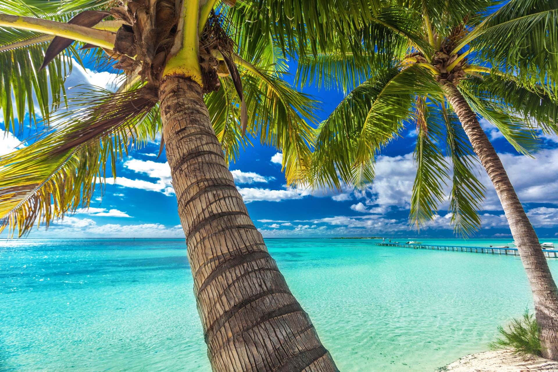 Ouest & Polynésie (Tahiti>Moorea) - 21J/18N - 2026 pas cher photo 3