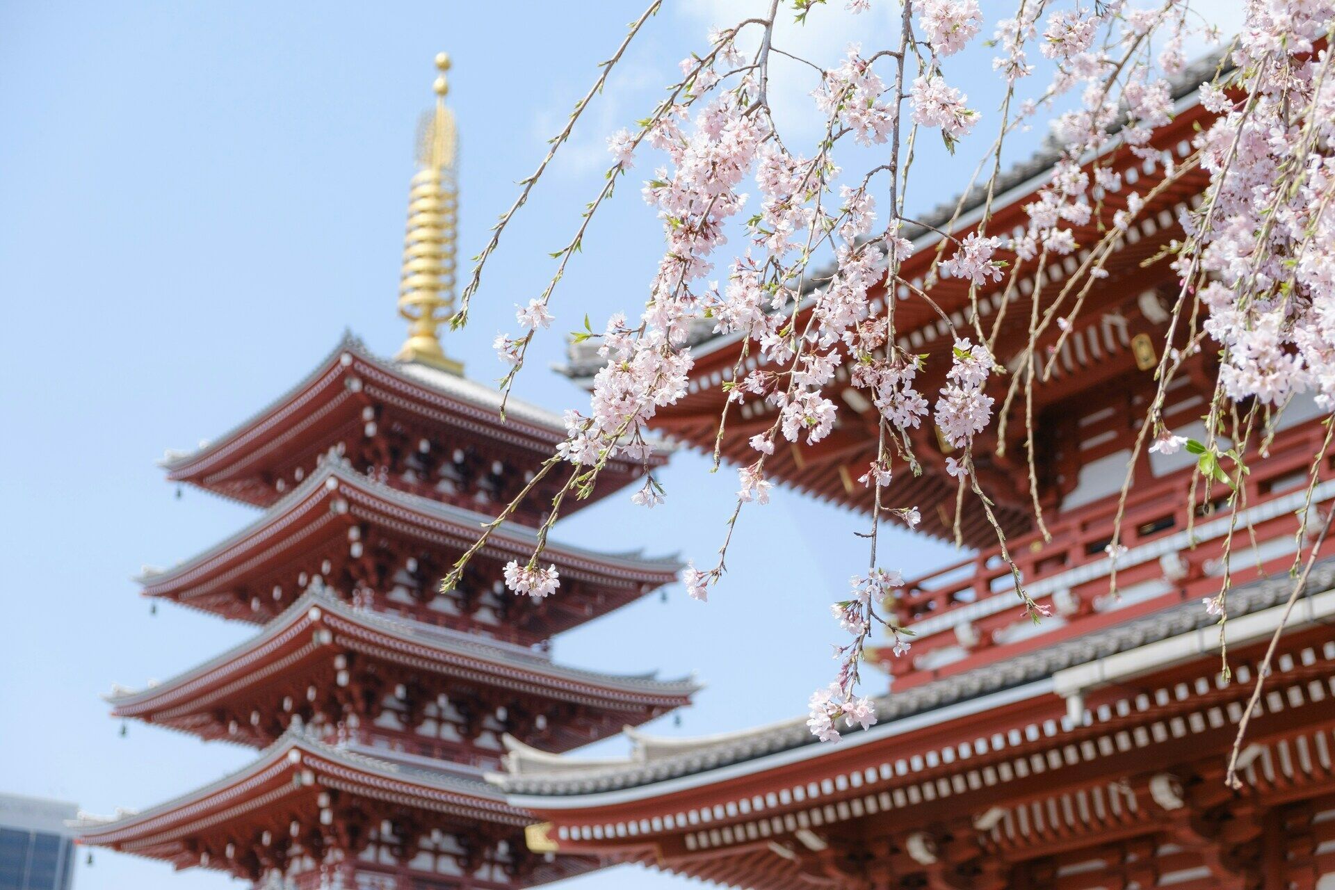 Combiné Séoul Tokyo avec activités incluses 3* ou 4* pas cher photo 12