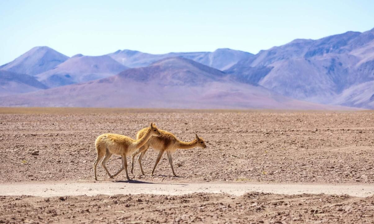 Mon Circuit Privé au Chili, Voyage au Coeur de l'Atacama & île de Pâques pas cher photo 7