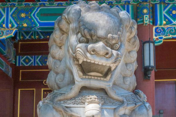 Circuit Pandas et Dragons en Privatif pas cher photo 19