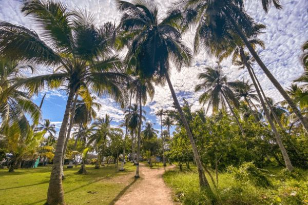 Circuit Les Incontournables de la Colombie en Privatif 2*Nouveauté 2026 2* pas cher photo 12