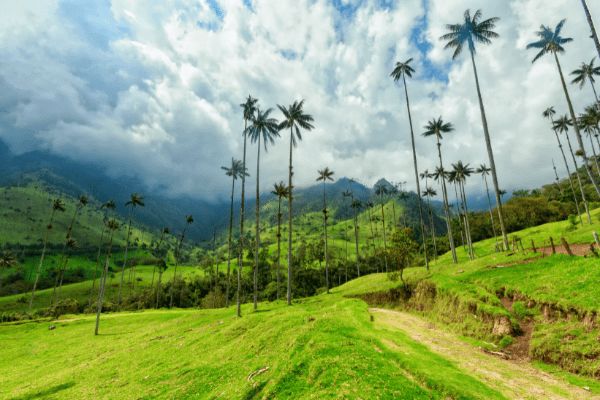 Circuit Les Incontournables de la Colombie en Privatif 2*Nouveauté 2026 2* pas cher photo 15