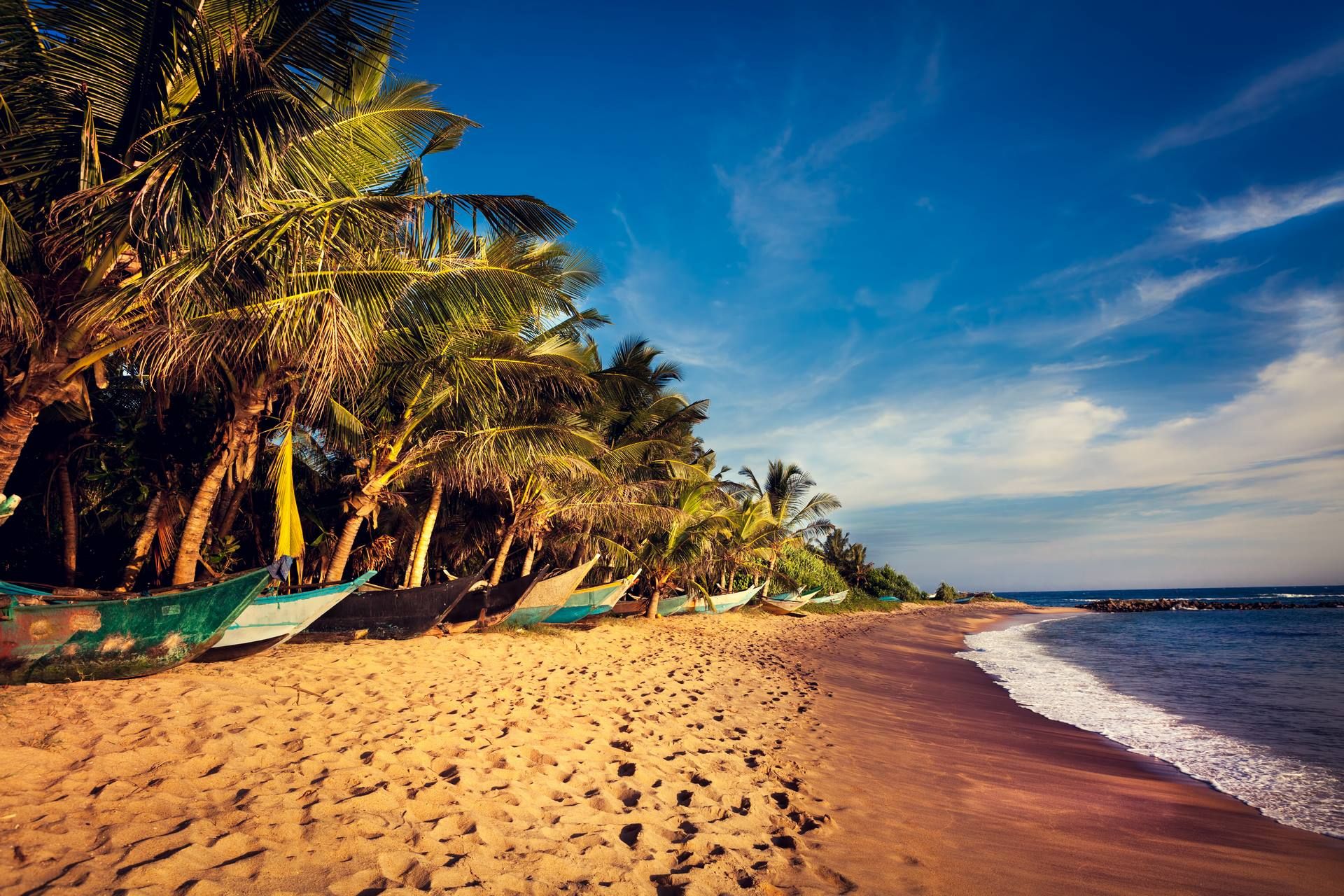 LES INCONTOURNABLES DU SRI LANKA 10J/ 7N - PRIVATIF pas cher photo 1