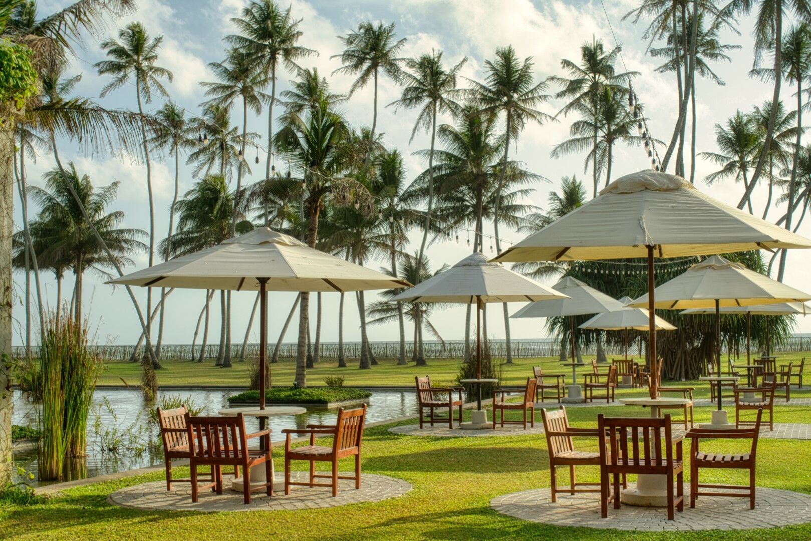 Les Incontournables du Sri Lanka + Séjour Naya Collection Blue Waters 5*(nl) 13J/10N - Limité à 16 p pas cher photo 8
