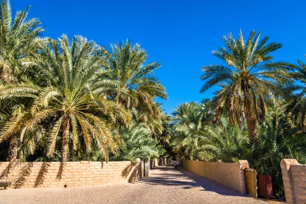 Combiné Dubai & Abu Dhabi, l'Âme de Deux Emirats pas cher photo 6