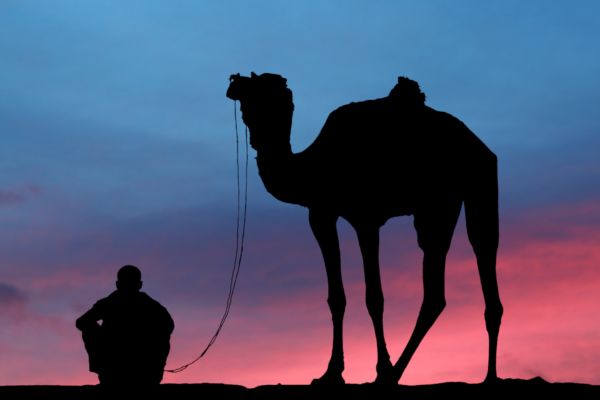 Circuit Emirats entre Dunes et Gratte-Ciels en Privatif pas cher photo 8
