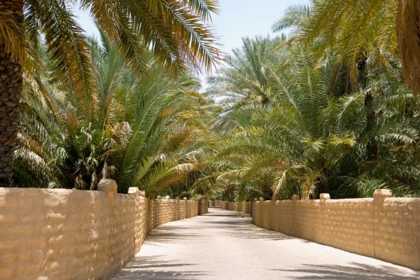 Circuit Mille et Une nuits, Rêve d'Orient au coeur du désert en Privatif pas cher photo 9