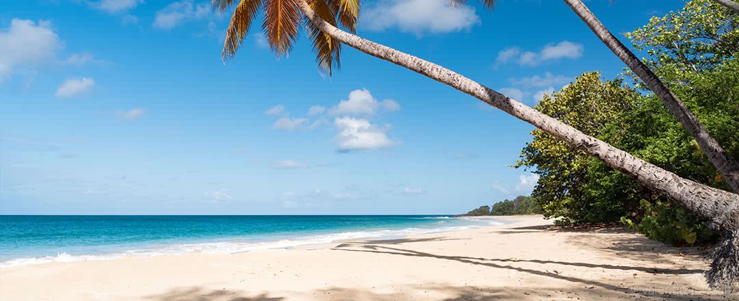 Autotour Martinique pas cher