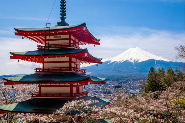 Circuit Japon d'Hier et d'Aujourd'hui, Kyoto et Tokyo pas cher photo 13